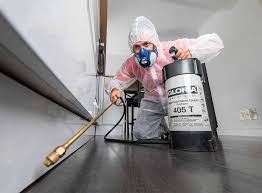 Best Fumigation Services  in Bangor, MI