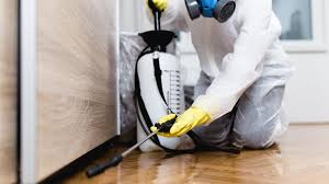 Best Residential Pest Control  in Bangor, MI